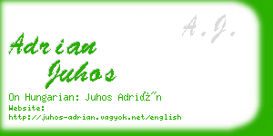 adrian juhos business card